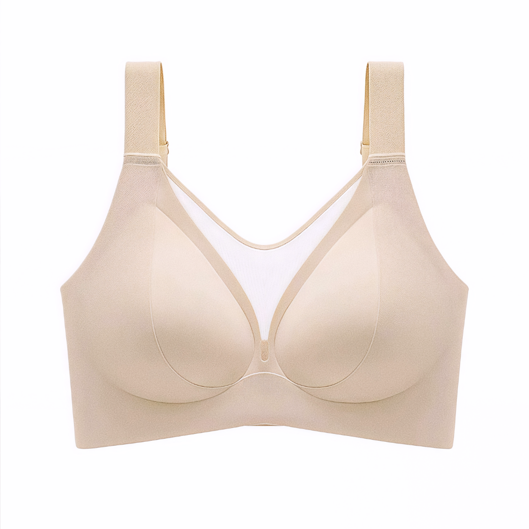 Stella | C- DD Cup