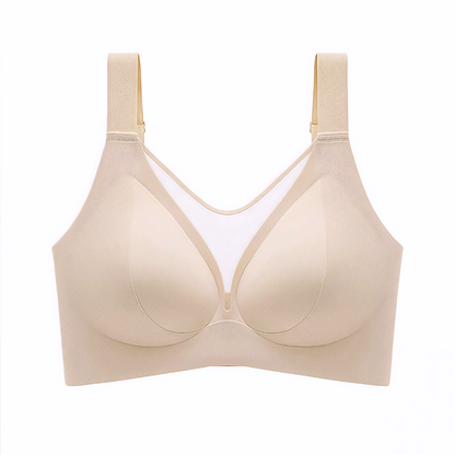 Stella | C- DD Cup
