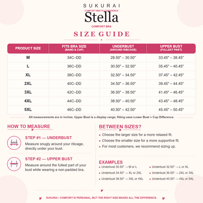 Stella | C- DD Cup